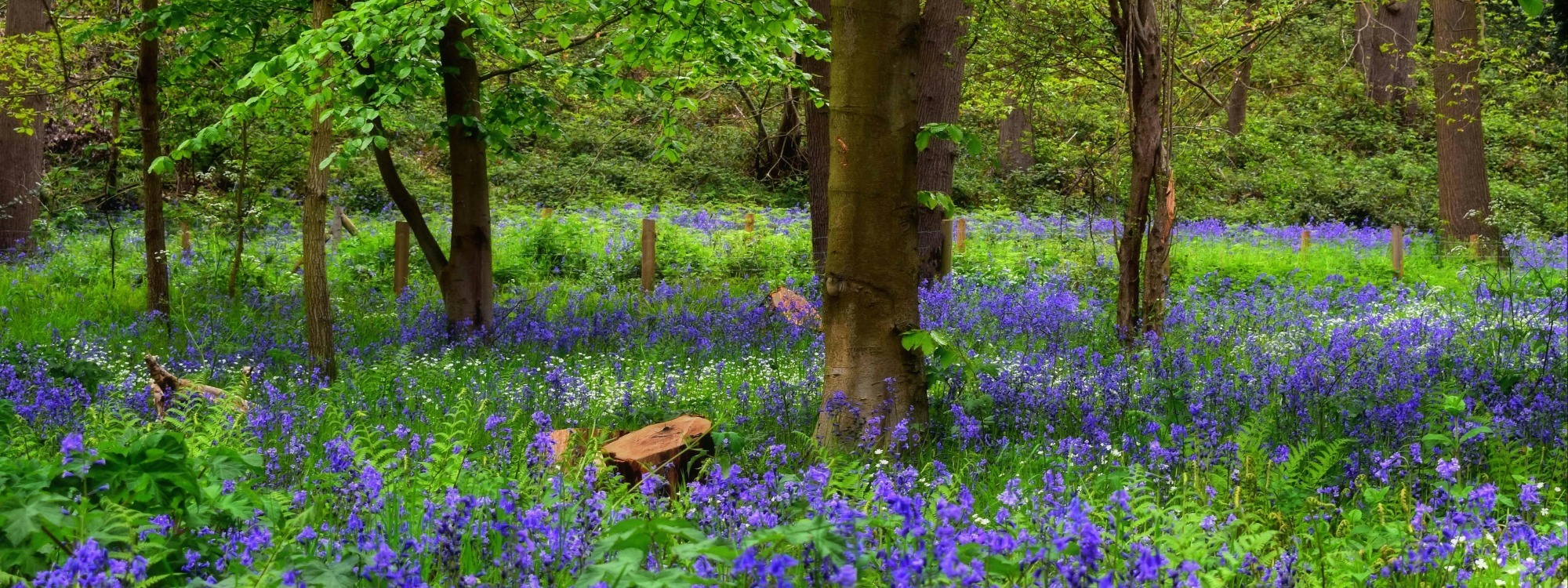 Welcome!*Explore our Church