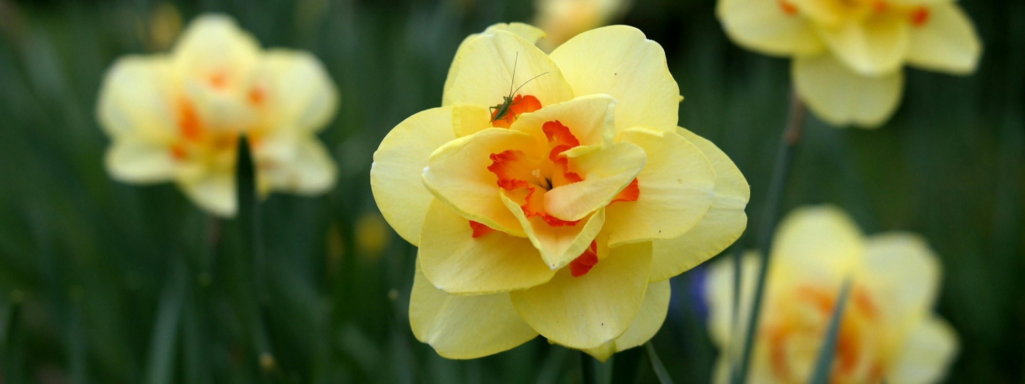 Welcome!*Explore our Church